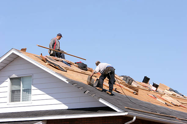 Best Metal Roofing Installation  in Bull Valley, IL